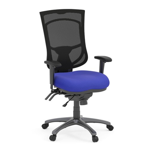 Ergonomic Chairs